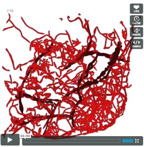 Lisbon - Traffic as blood vessels